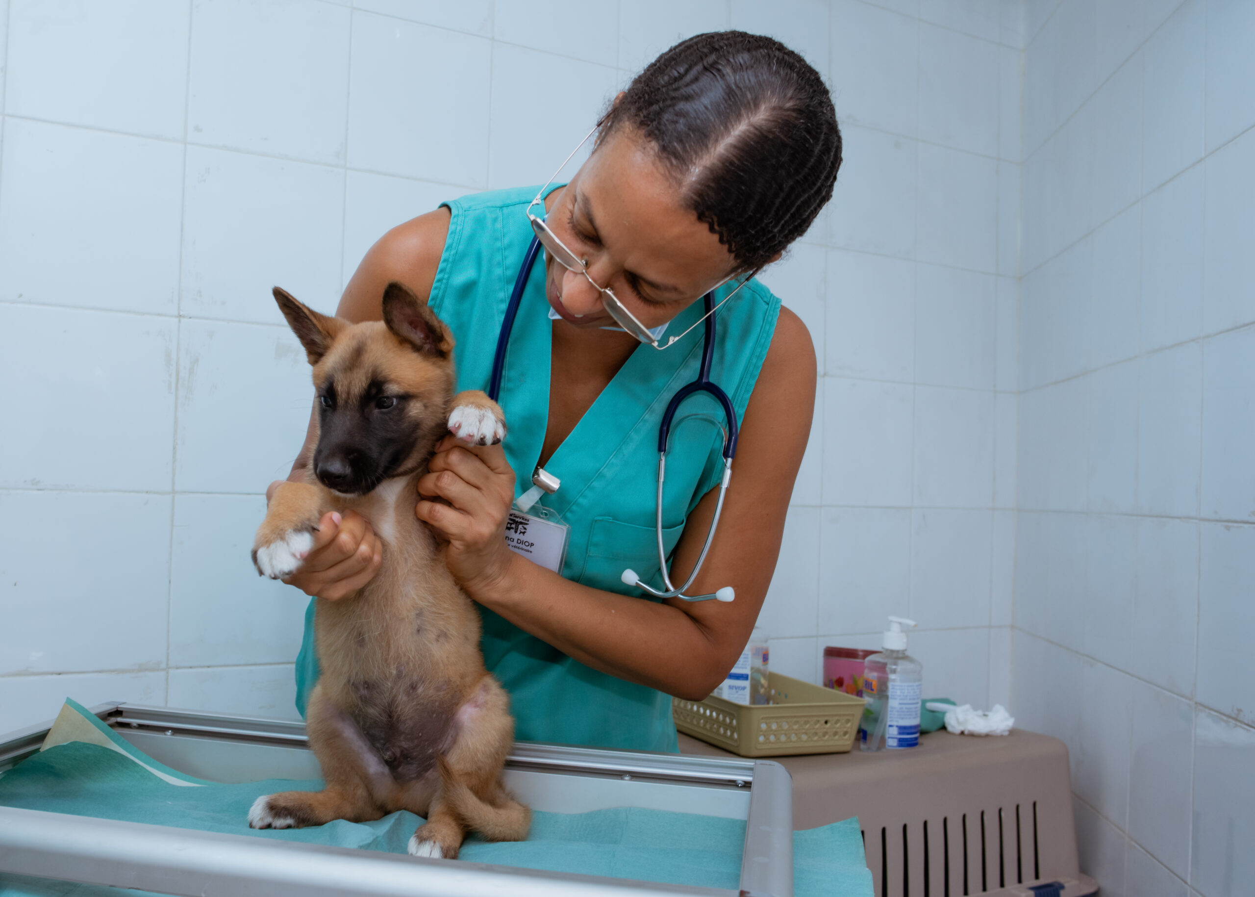 Vétérinaire avec un chiot mignon.